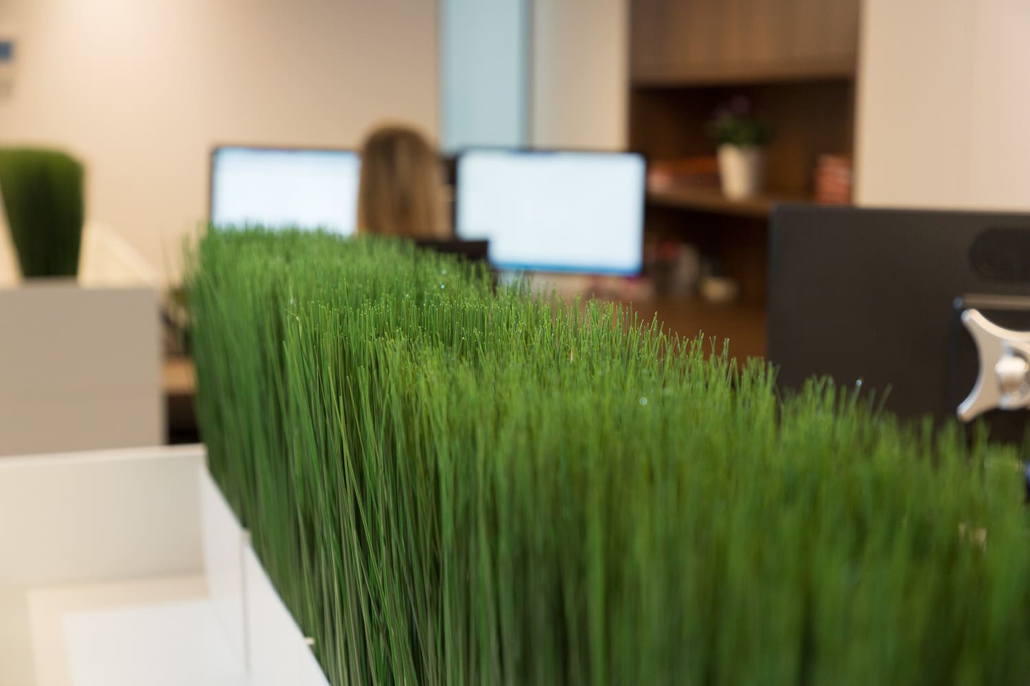 Expertise en advies op maat